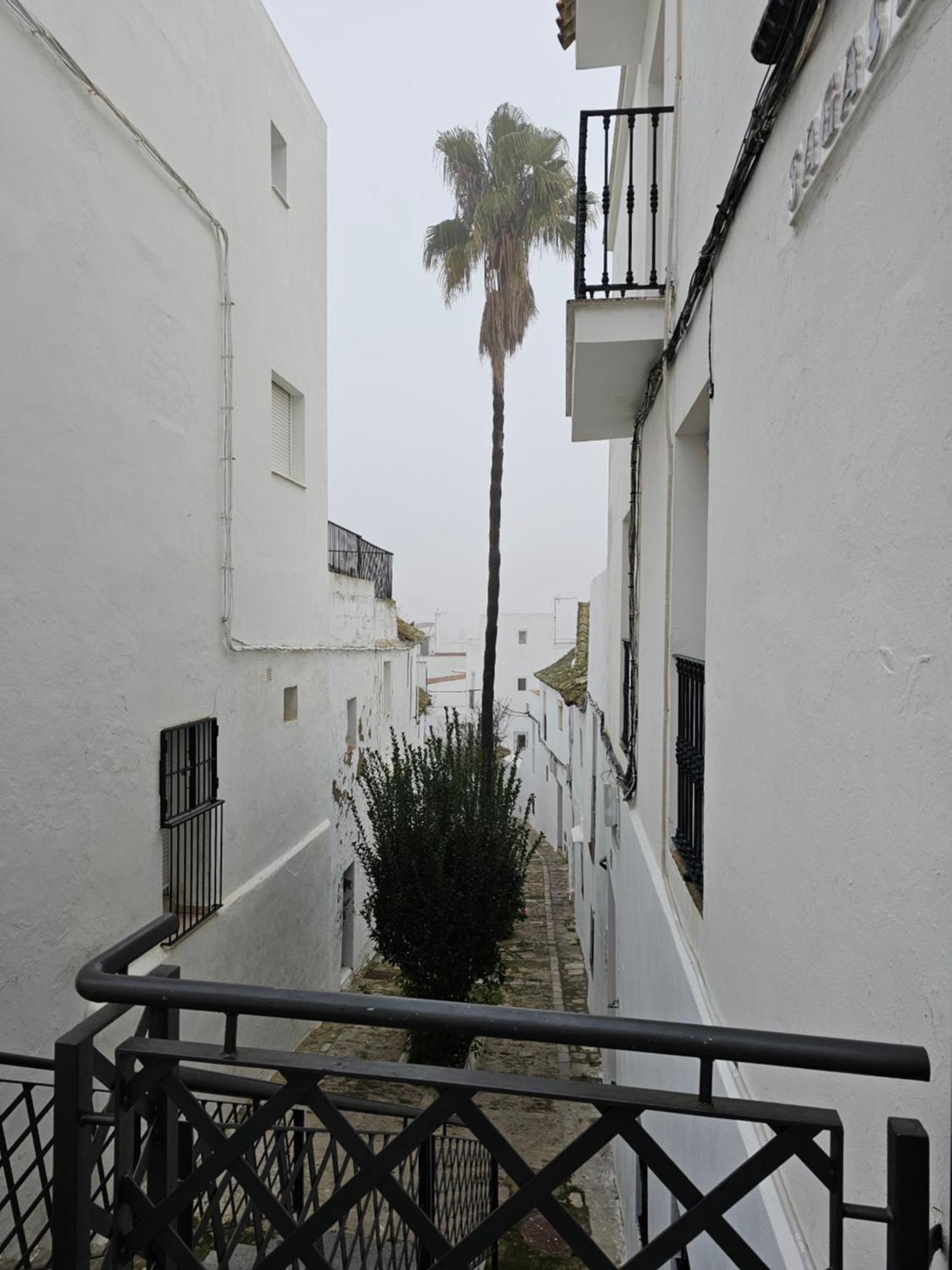 Casa Negrete